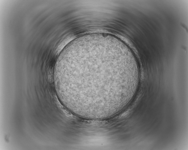 X0000102520905200808291754