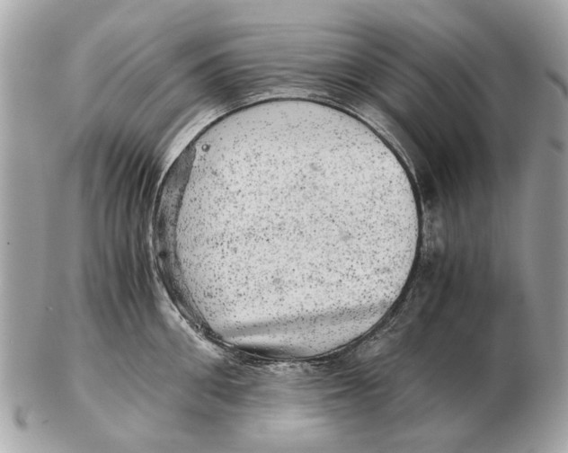 X0000102520906200808291754