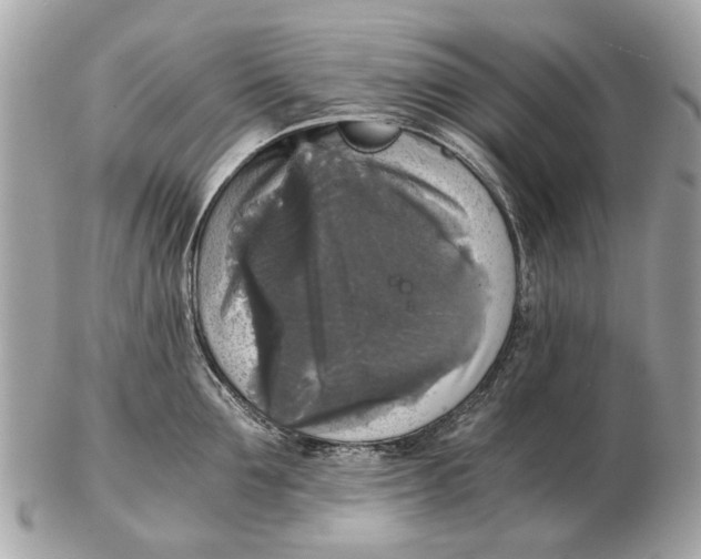 X0000102520907200808291754