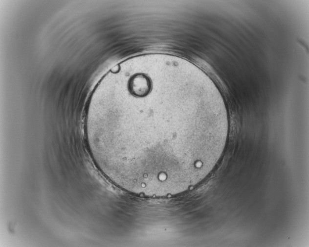 X0000102520908200808291754