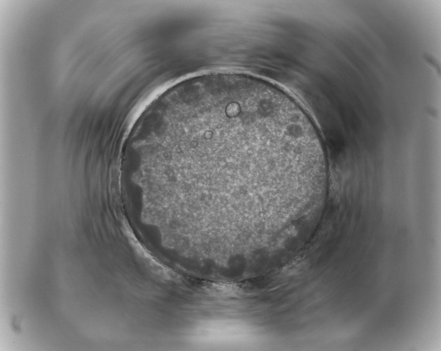 X0000102520911200808291754