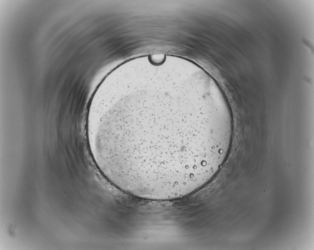 X0000102520912200808291754