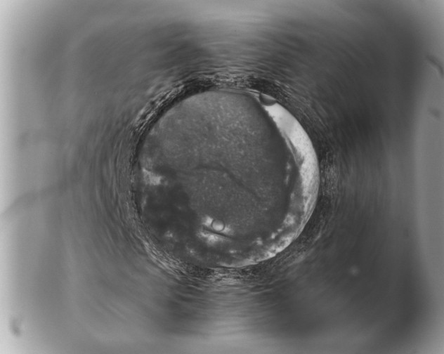 X0000102520913200808291753