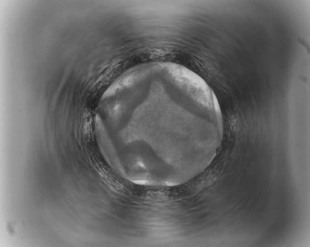 X0000102520914200808291753