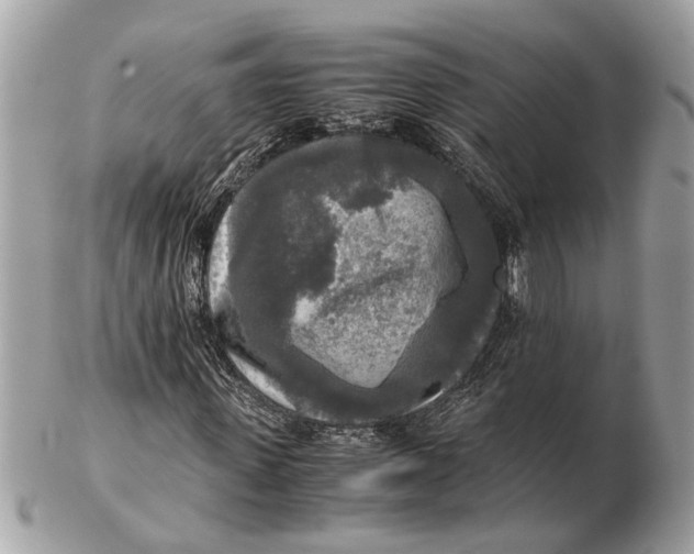 X0000102520915200808291753