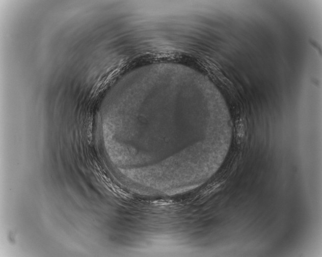 X0000102520916200808291753