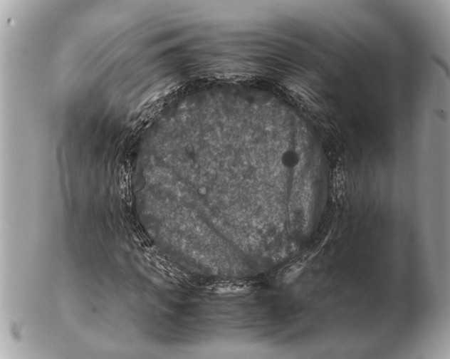 X0000102520917200808291753