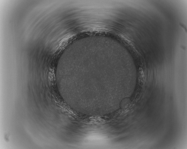 X0000102520918200808291753