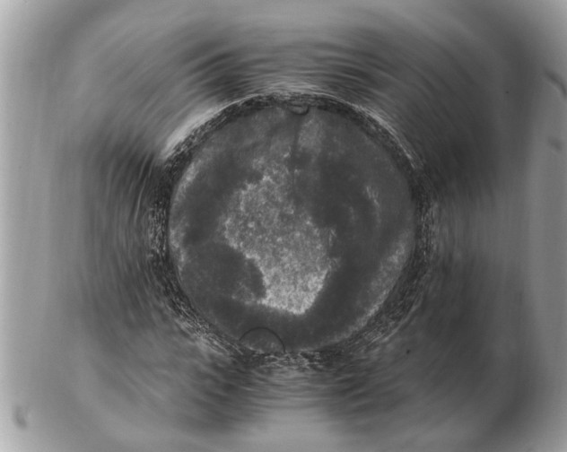 X0000102520919200808291753