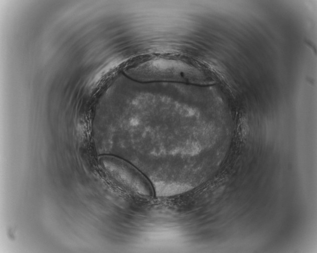 X0000102520920200808291753