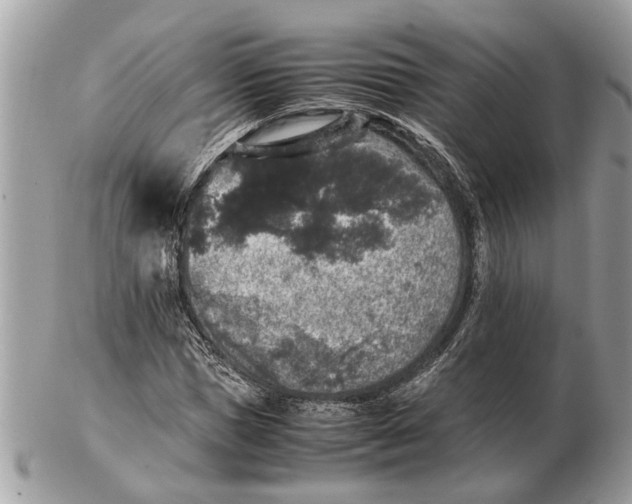 X0000102520921200808291753