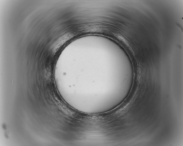 X0000102520922200808291753