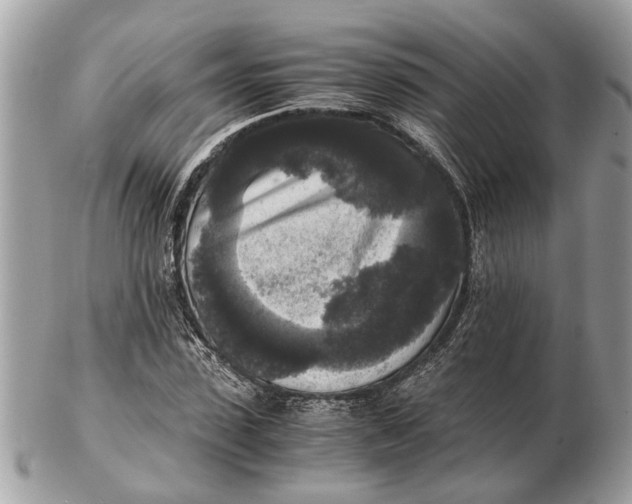 X0000102520923200808291753