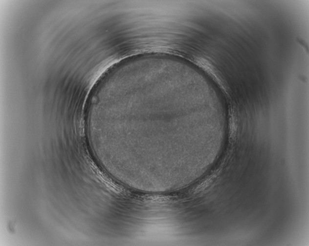 X0000102520924200808291753