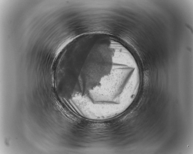 X0000102520925200808291753