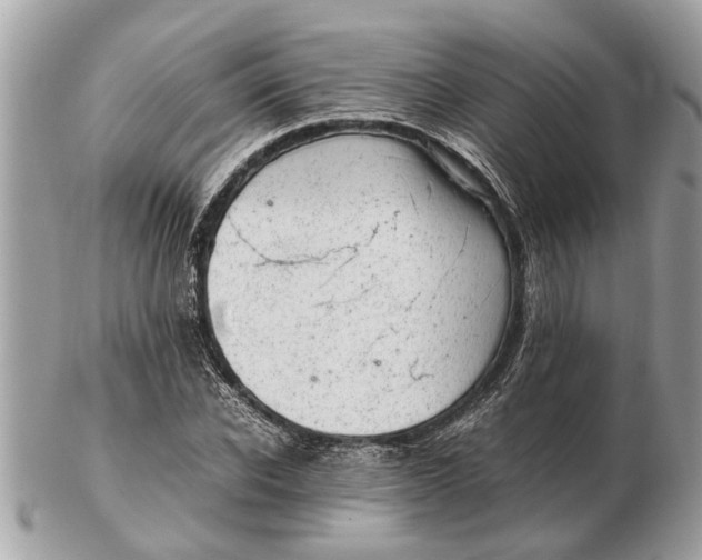 X0000102520926200808291753