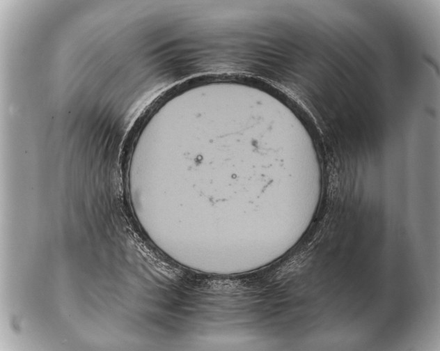 X0000102520927200808291753