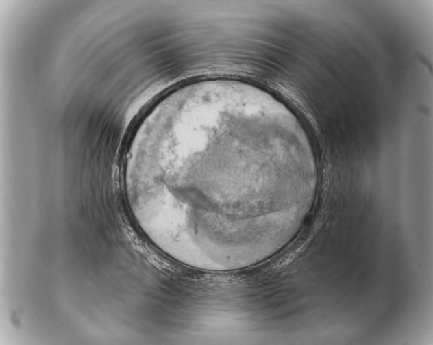 X0000102520928200808291753