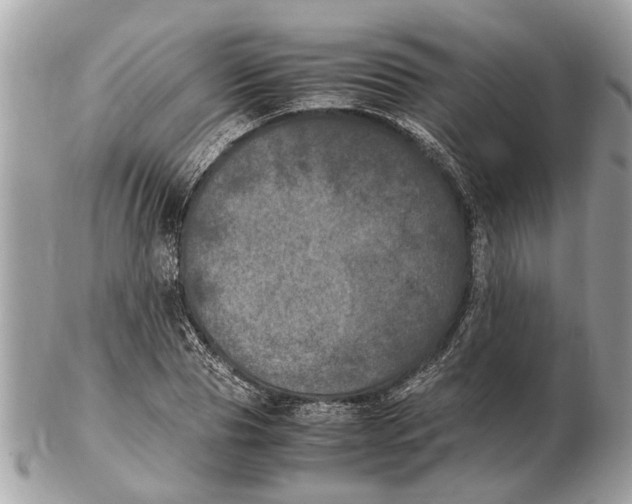 X0000102520929200808291753