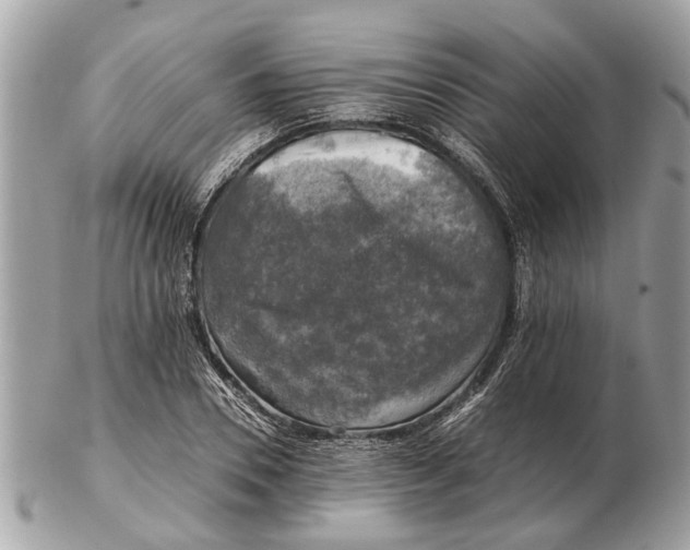 X0000102520930200808291753