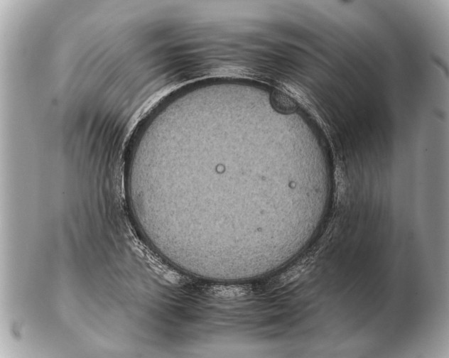 X0000102520931200808291754