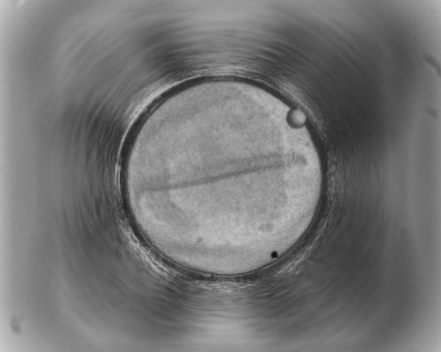 X0000102520932200808291754