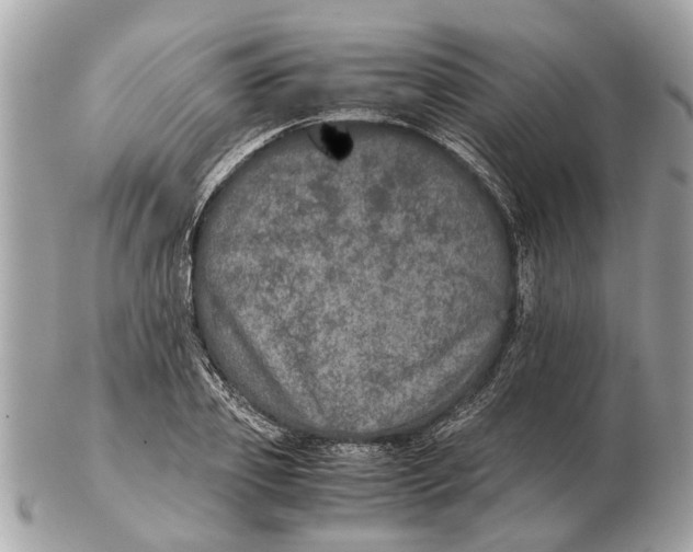 X0000102520933200808291754