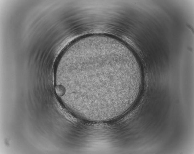 X0000102520934200808291754