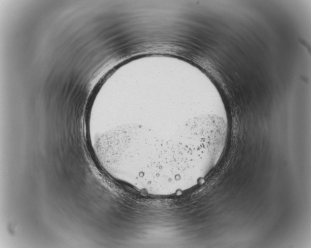 X0000102520936200808291754