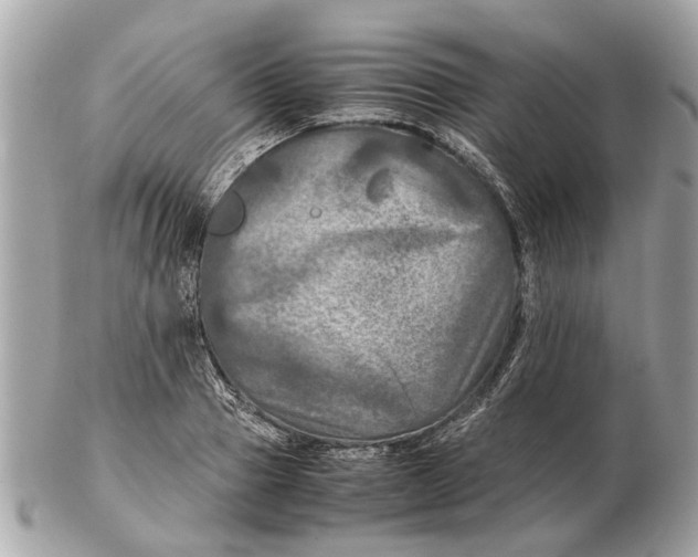 X0000102520937200808291754