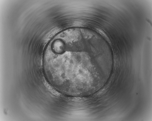 X0000102520938200808291754