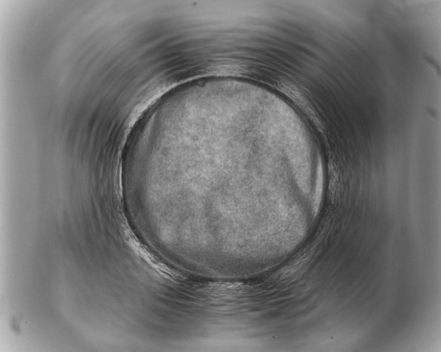 X0000102520939200808291754