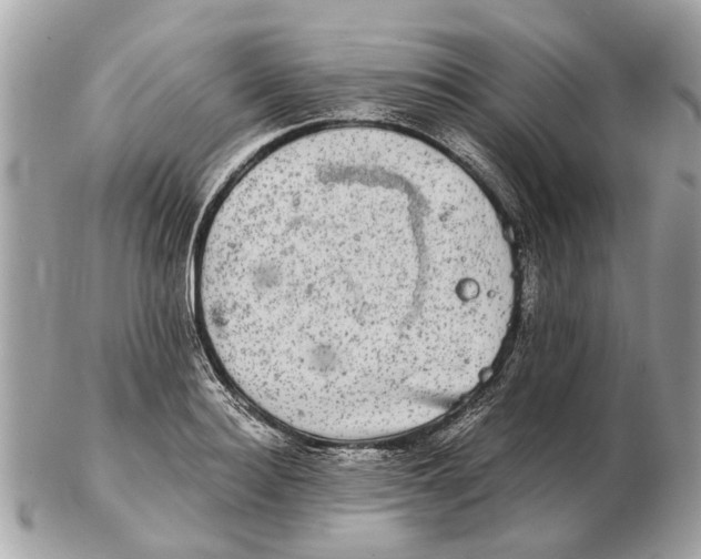 X0000102520940200808291754