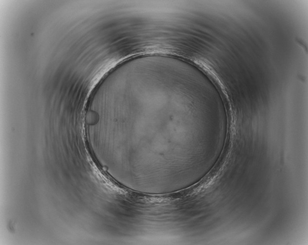 X0000102520941200808291754