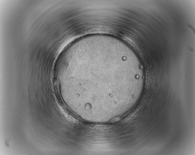 X0000102520942200808291754