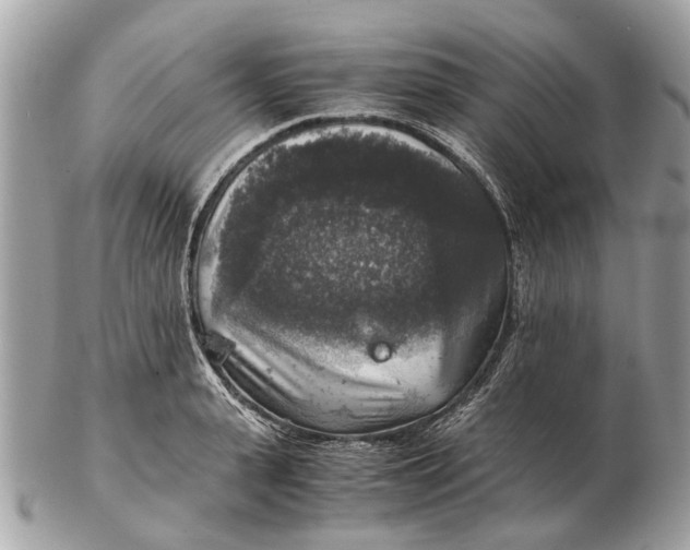 X0000102520943200808291754