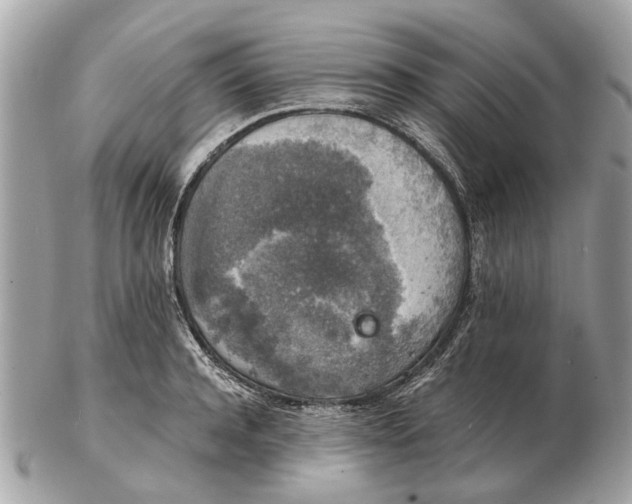 X0000102520944200808291754