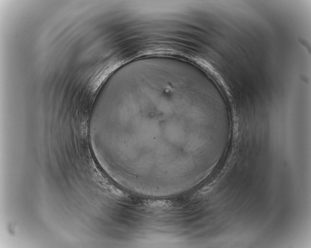 X0000102520945200808291754