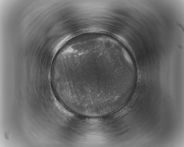 X0000102520946200808291754