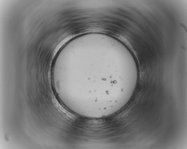 X0000102520947200808291754