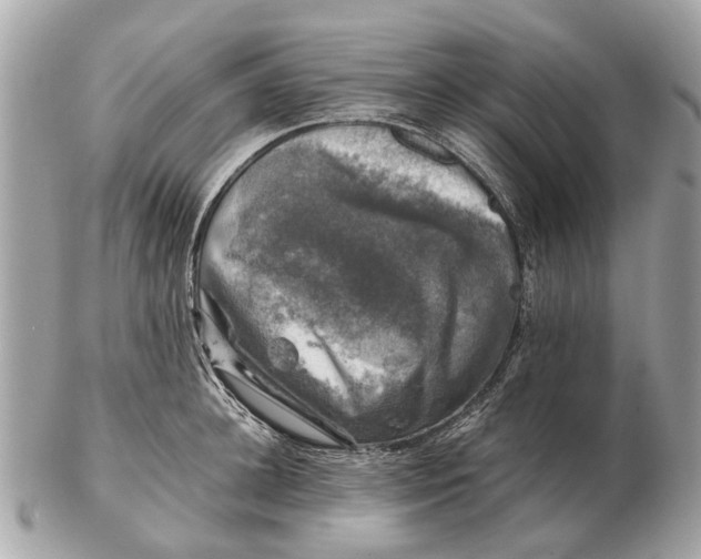 X0000102520948200808291754