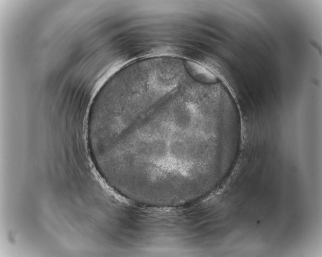 X0000102520949200808291754