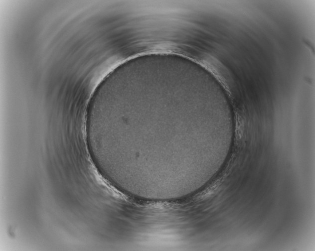 X0000102520950200808291754