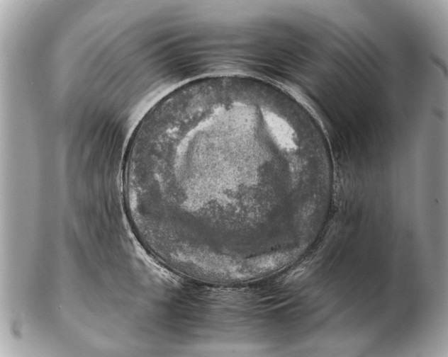 X0000102520951200808291754