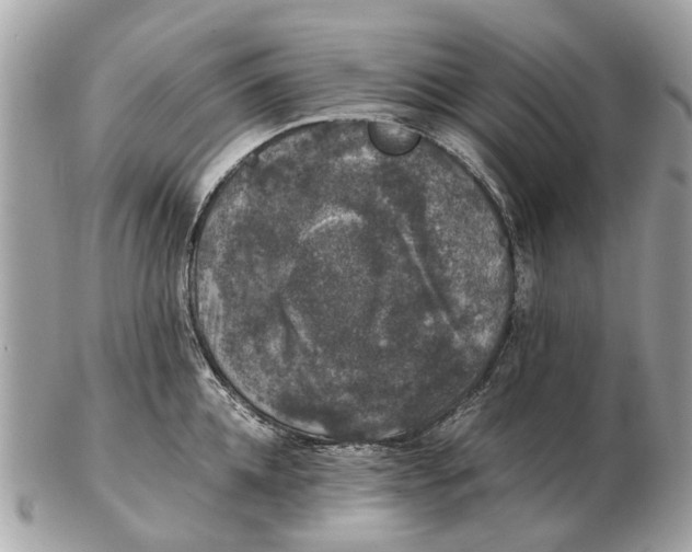 X0000102520952200808291754