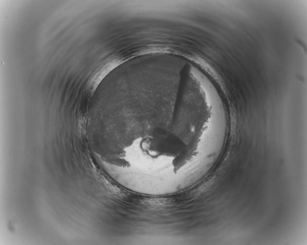 X0000102520953200808291754