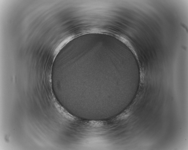 X0000102520954200808291754