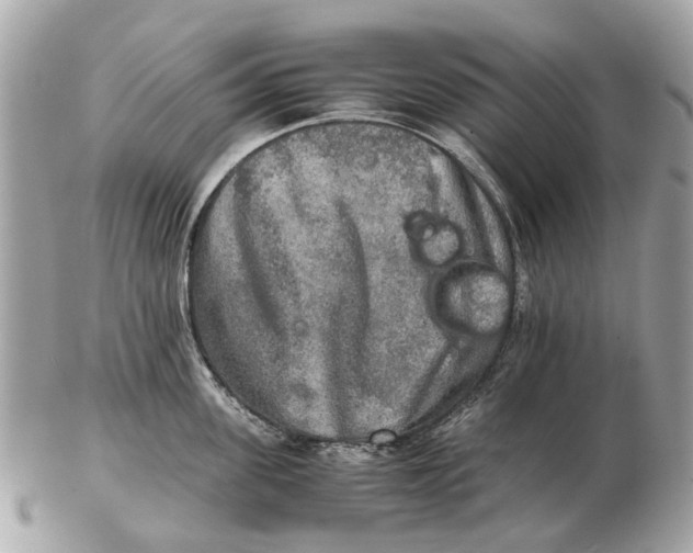 X0000102520955200808291754