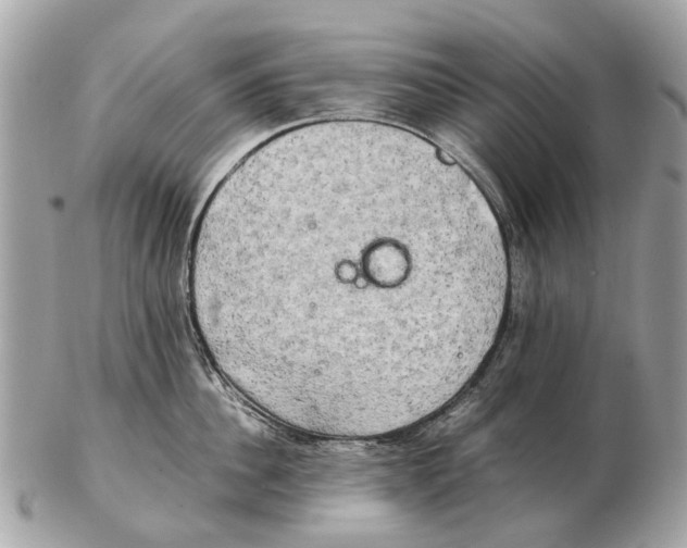 X0000102520956200808291754