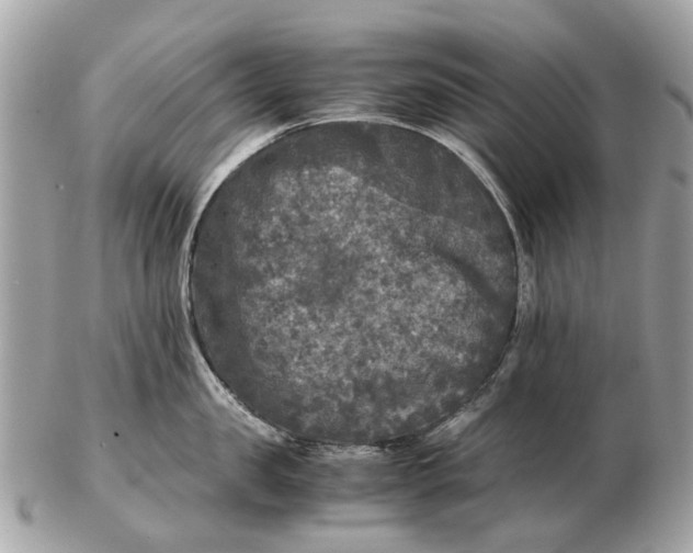 X0000102520957200808291754